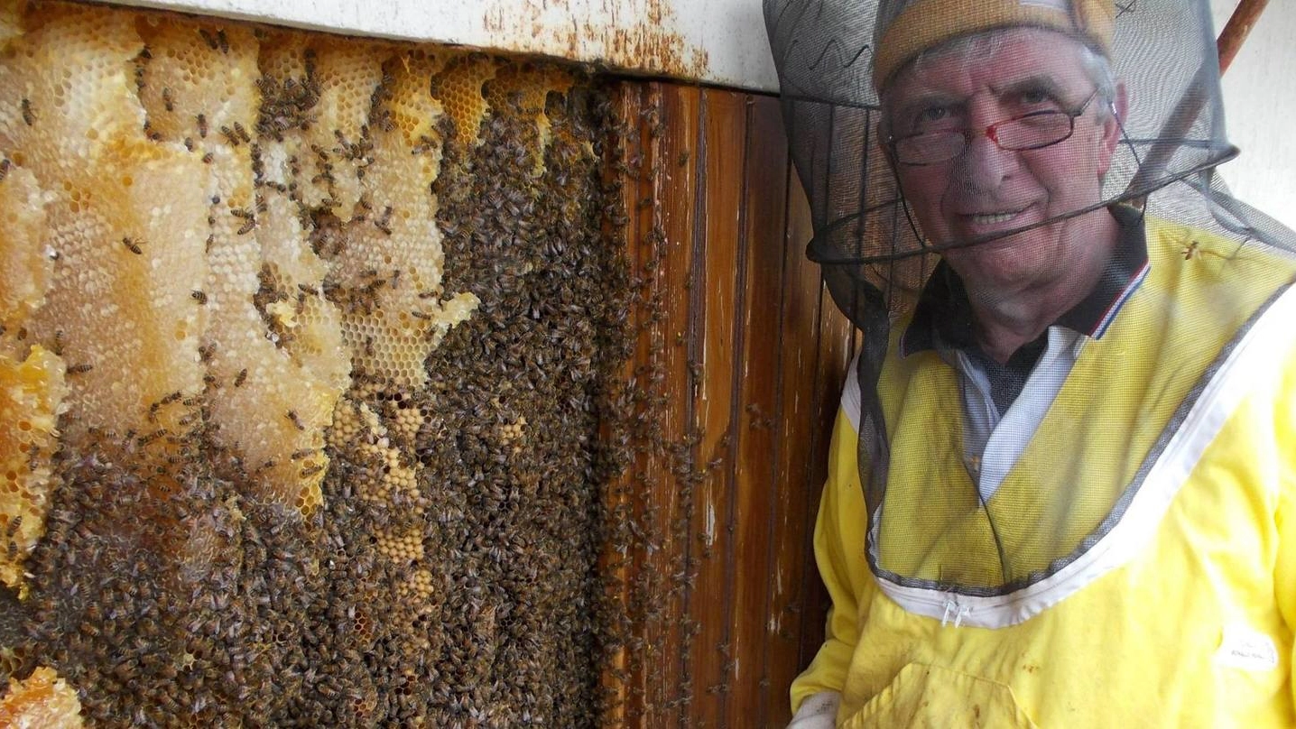 L’apicoltore durante l’intervento
