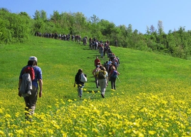 Passeggiate ed escursioni a Bologna: il programma di Fondazione Villa Ghigi