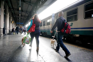 Stazione Bologna, il Comune annuncia una stretta sui controlli: “Aumenteremo gli organici”