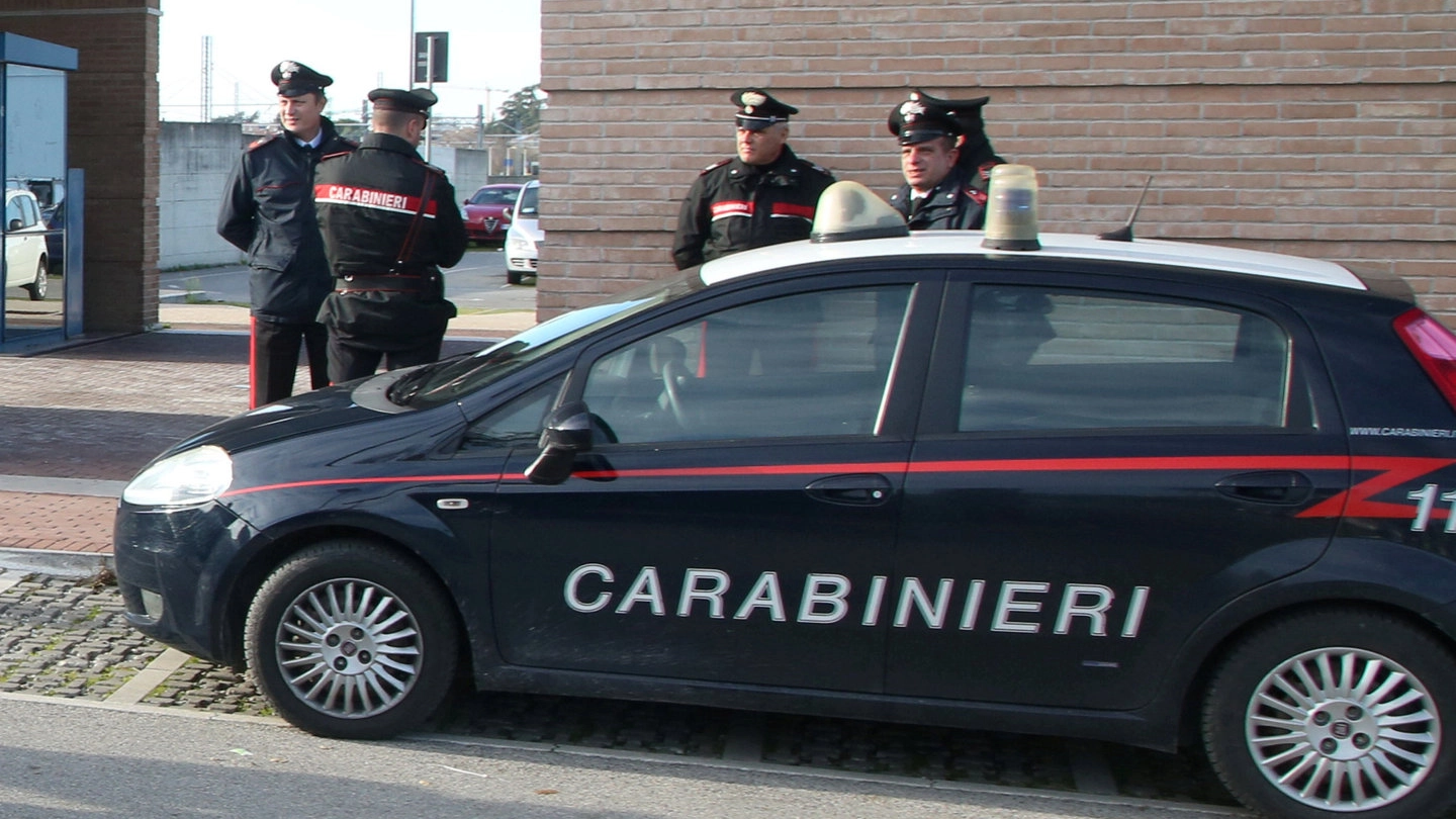 Le indagini sono state svolte dai carabinieri della stazione di San Mauro Pascoli