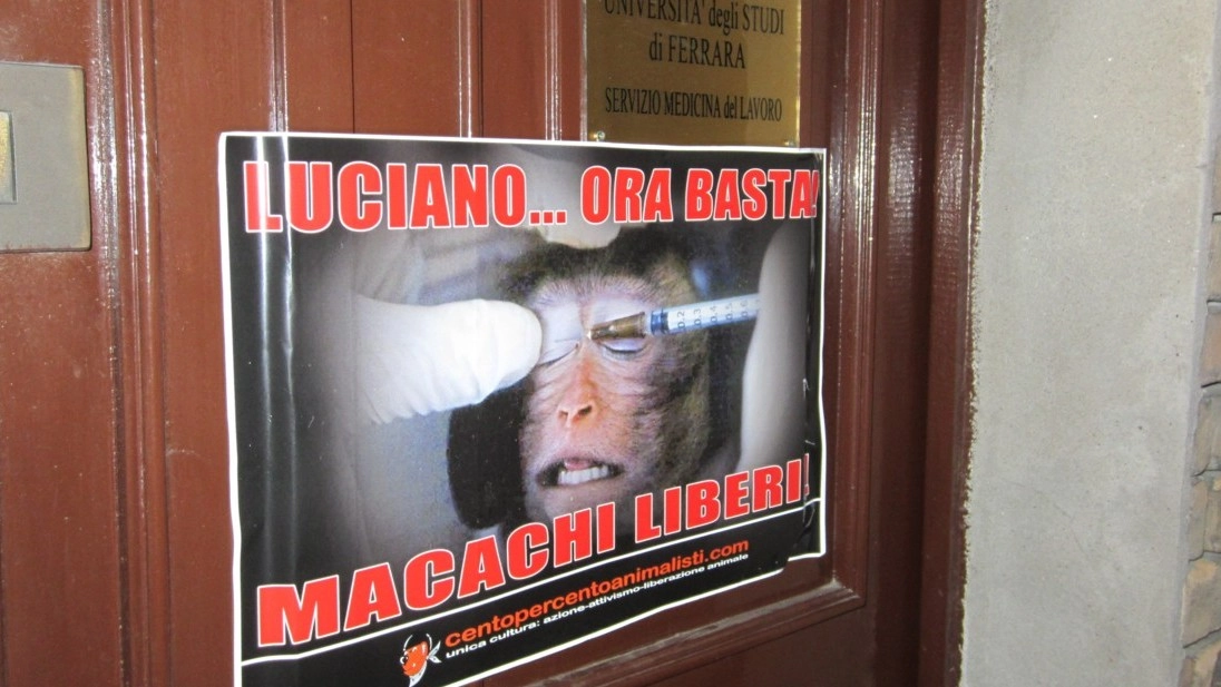 Uno dei manifesti affissi dagli animalisti per la liberazione dei macachi 