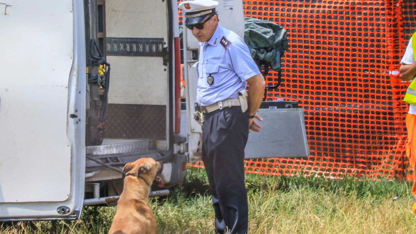 Una foto generica di controlli della polizia municipale su alcuni animali