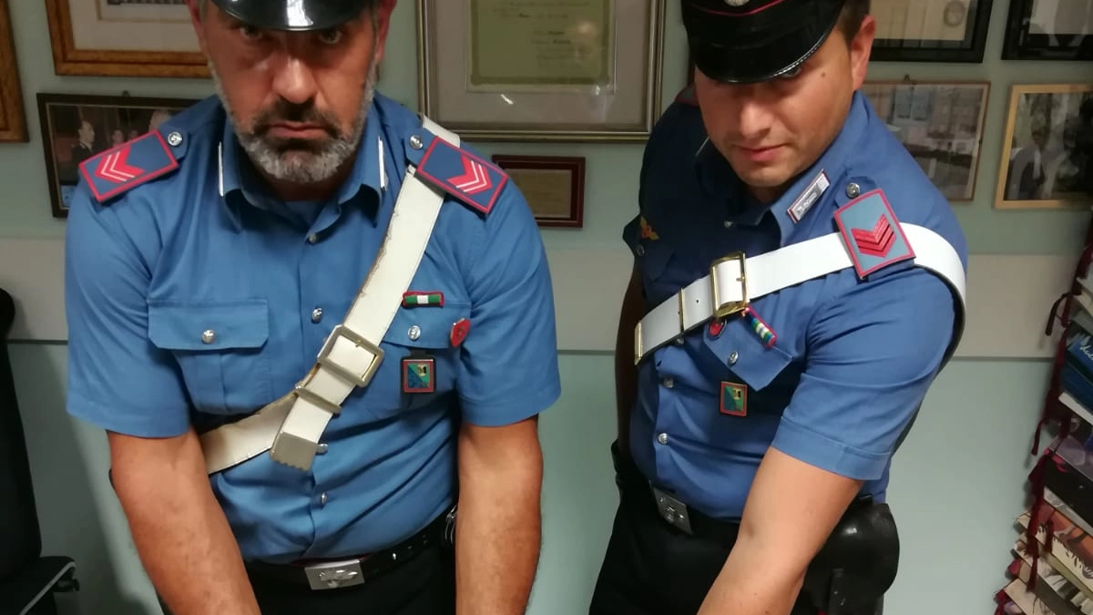 I carabinieri mostrano la droga sequestrata (Foto Zeppilli)