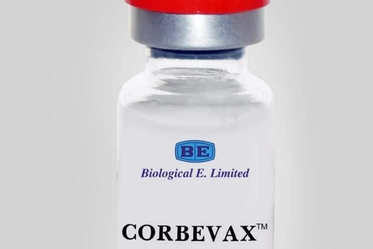 Il nuovo vaccino economico Corbevax è un regalo al mondio