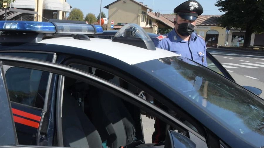 L’indagine dei carabinieri è stata coordinata dalla pm Gabriella Tavano