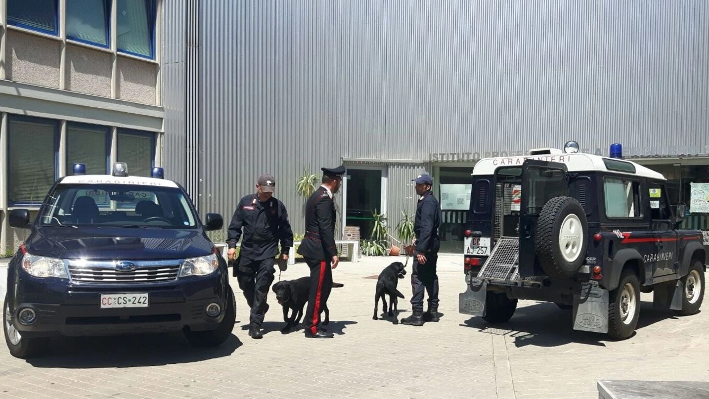 Riolo, controlli antidroga dei carabinieri all’istituto alberghiero (Foto Corelli)