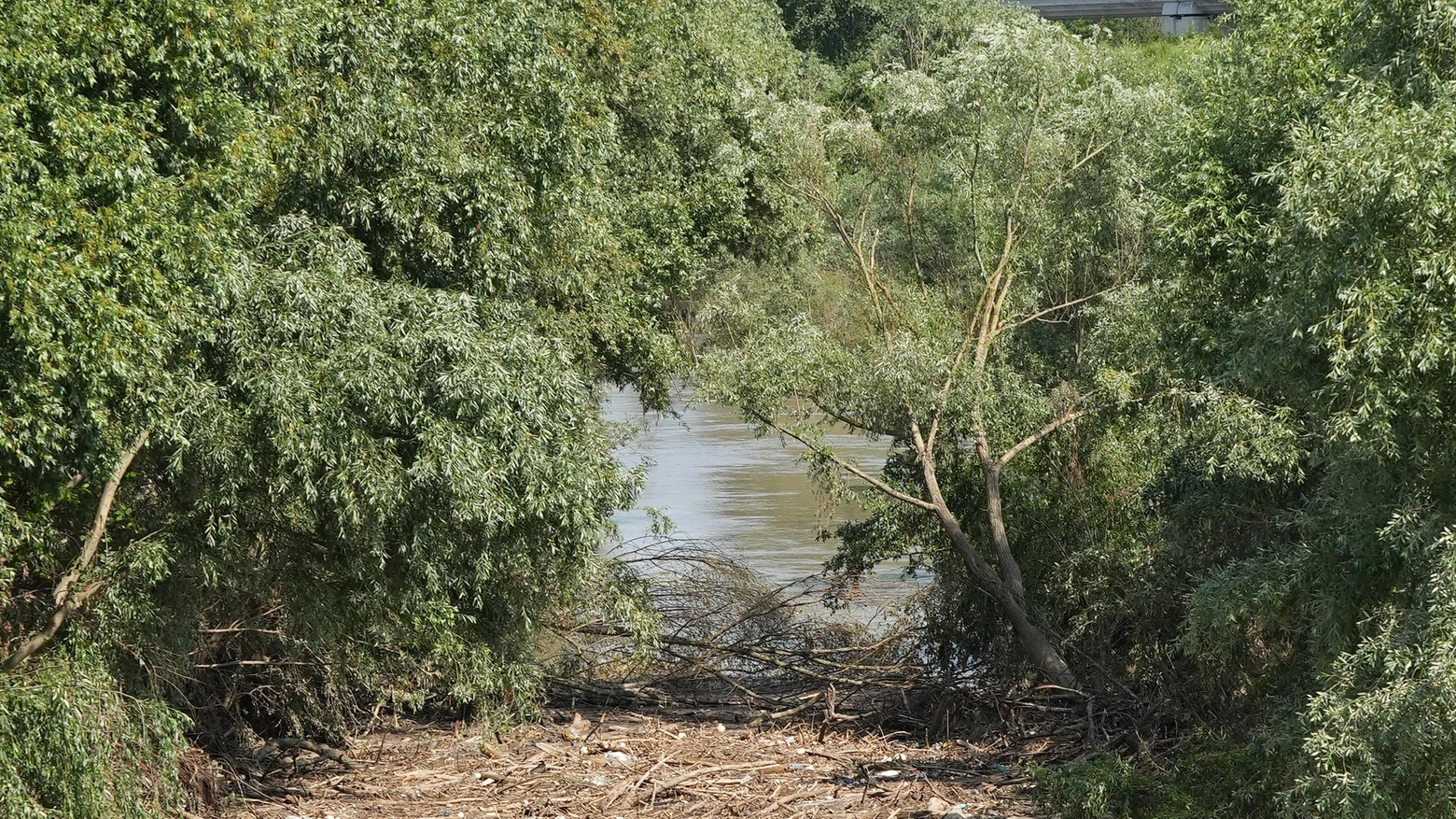 Il fiume ferito dopo la piena  "Troppi detriti, vanno rimossi"