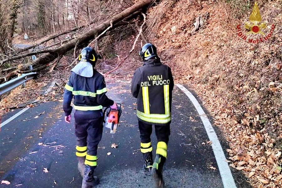 Pompieri in azione dopo le cadute di alberi