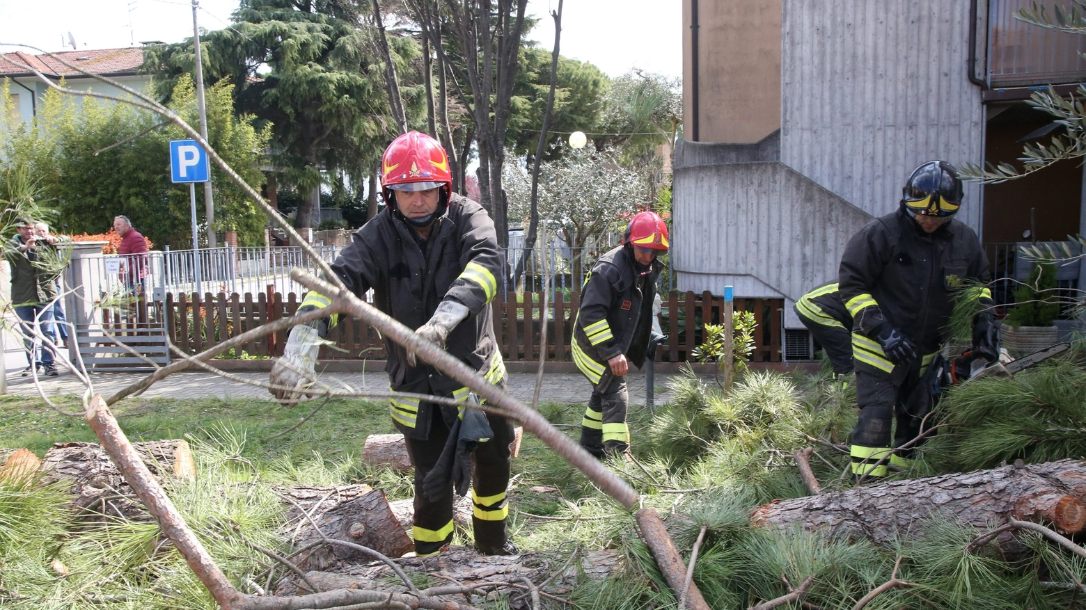 Decine gli interventi dei vigili del fuoco per rami e alberi caduti (foto Ravaglia)