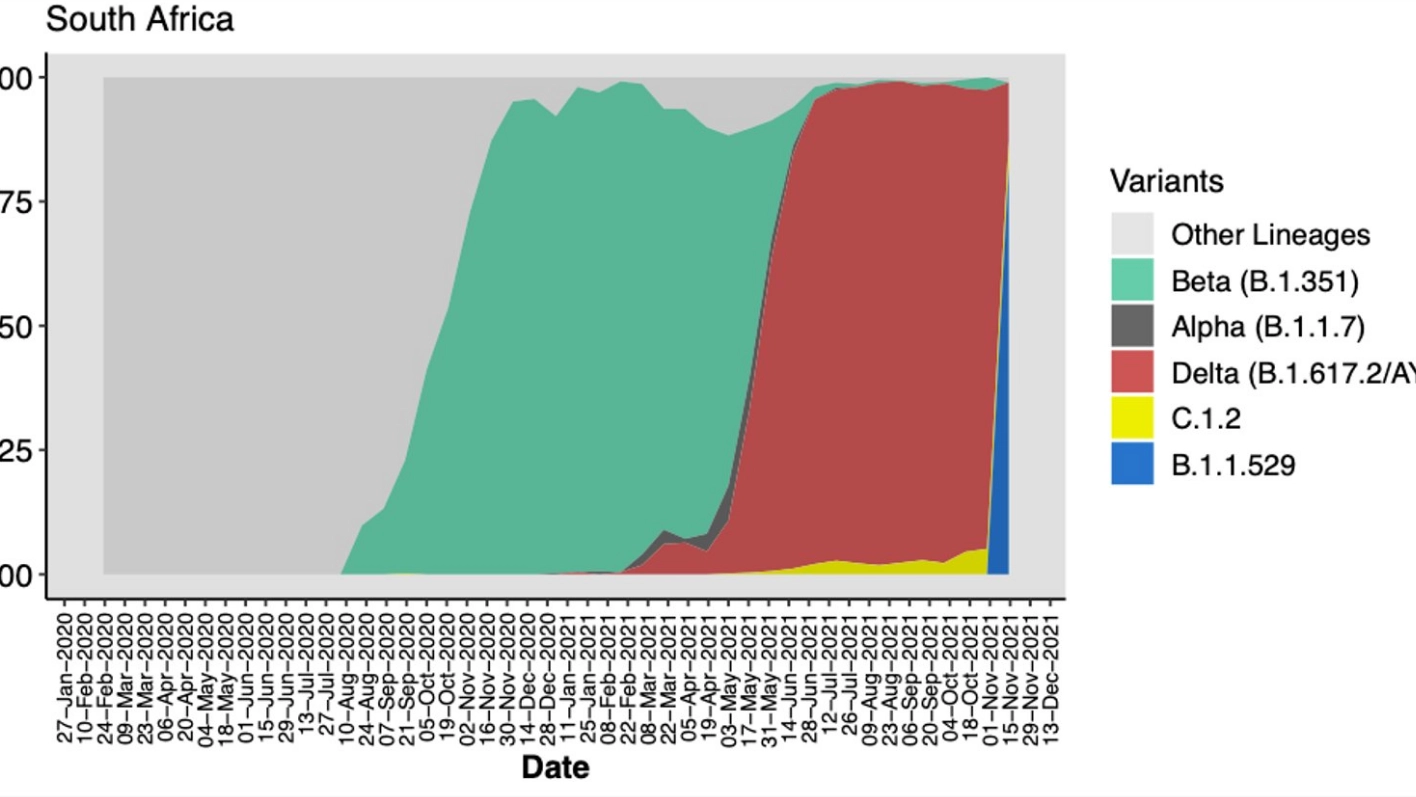 Il grafico sull'onda della nuova variante (in blu) postato dal virologo Tullio de Oliveira