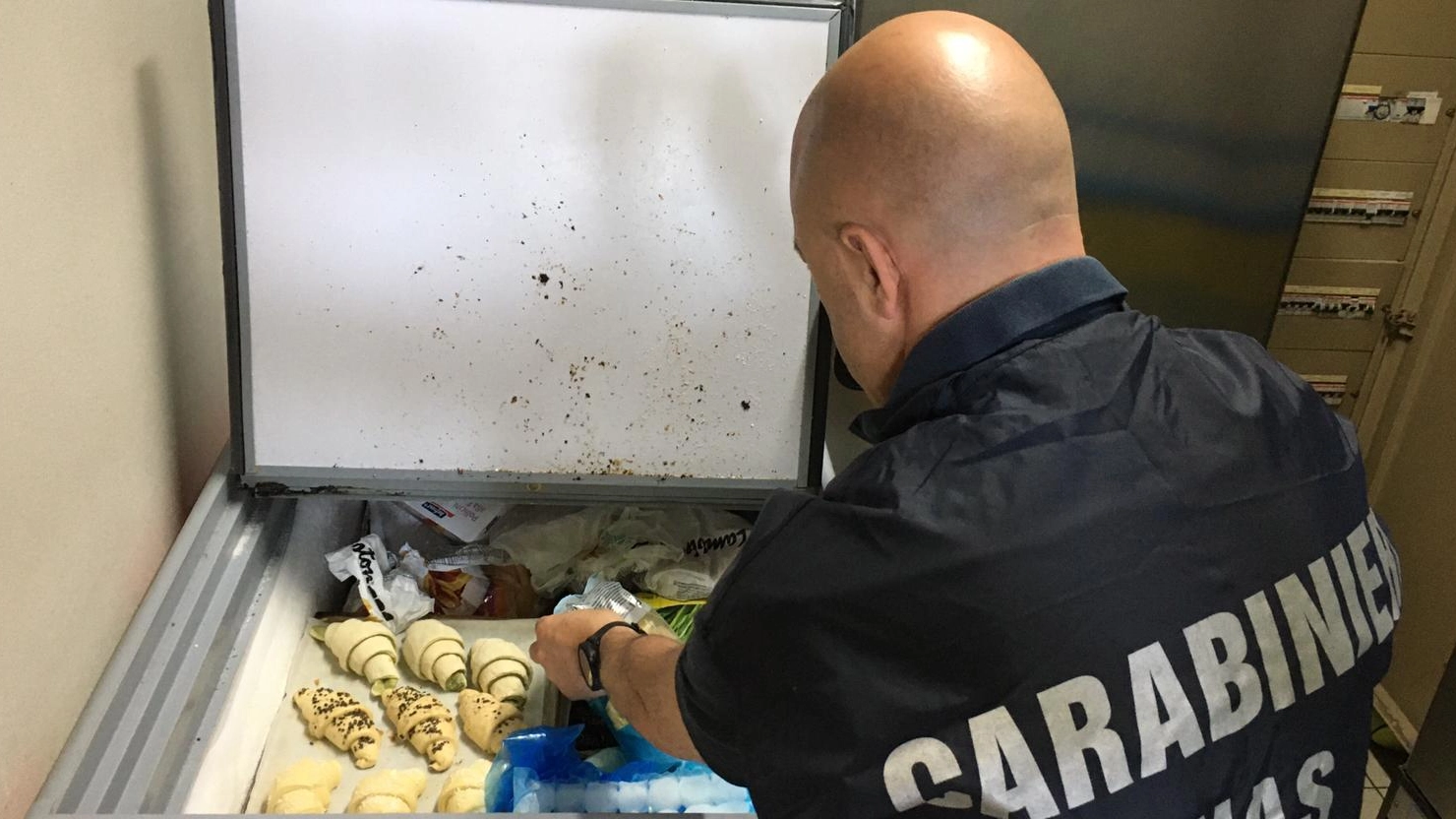 Controlli dei Nas: il bilancio nelle cucine del servizio mense scolastiche dell'Emilia Romagna