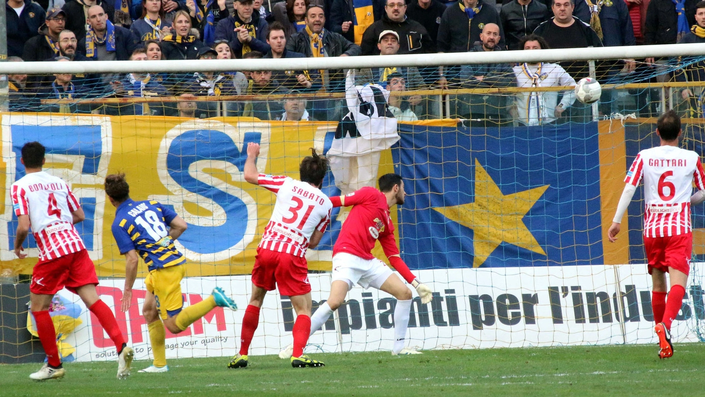 Il gol di Calaiò (foto LaPresse – Raffaele Rastelli)