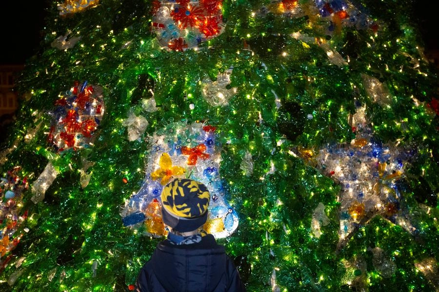 A Cotignola (Ravenna) sarà acceso solo l'albero di Natale