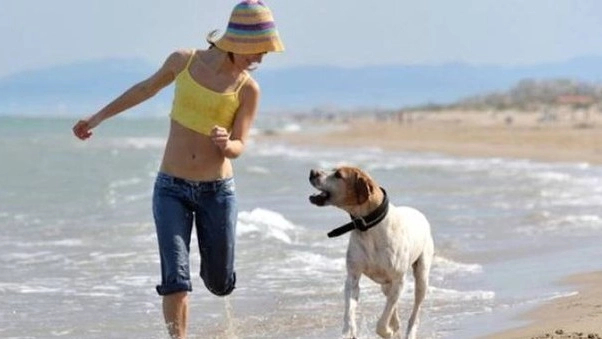 Una padrona in una spiaggia con il proprio cane