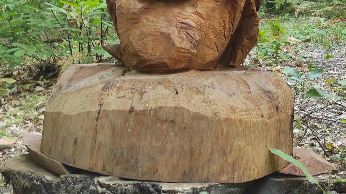 Il legno prende vita e diventa arte, nuove sculture tra i boschi