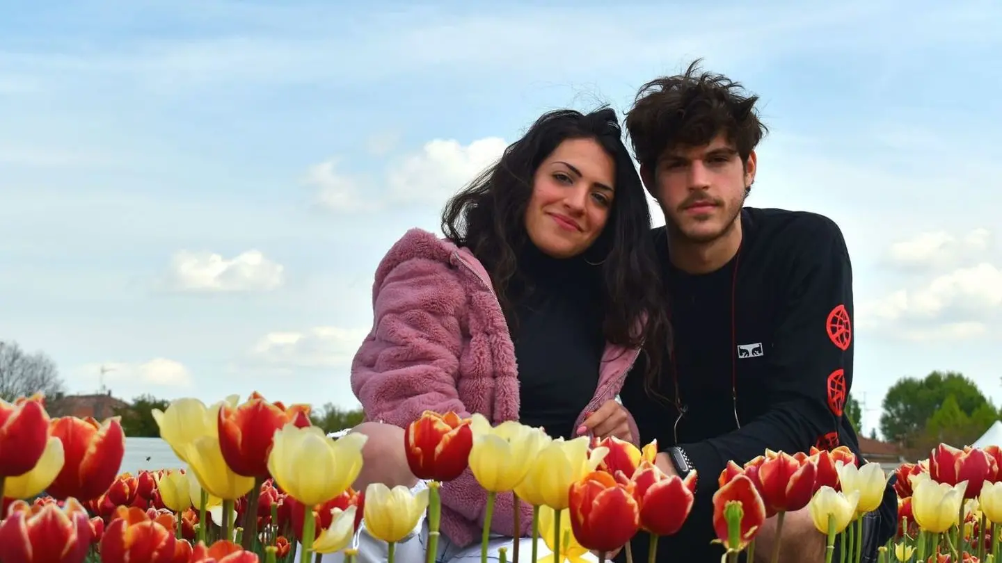 Gloria e Carlo nel loro campo di tulipani