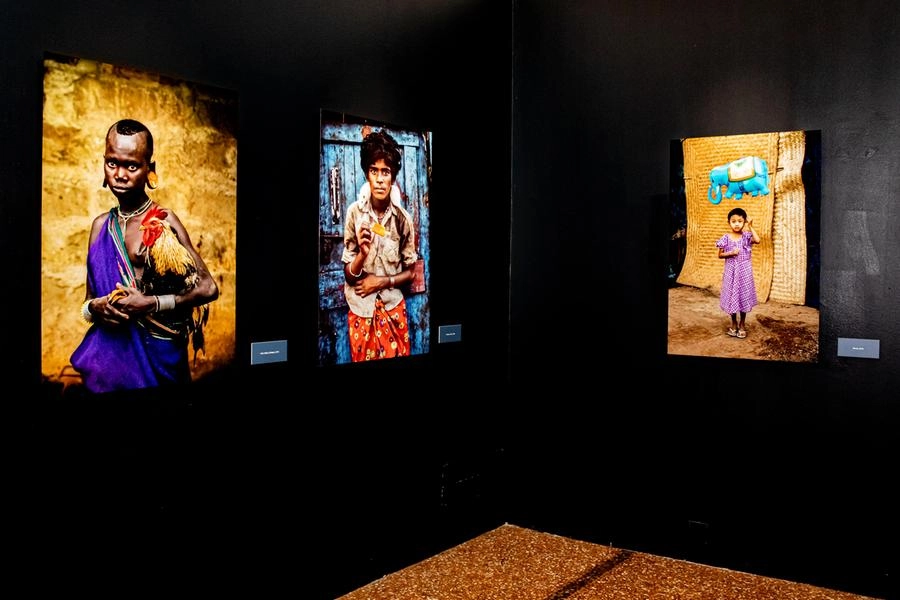 'Animals', Steve McCurry in mostra a Palazzo Belloni