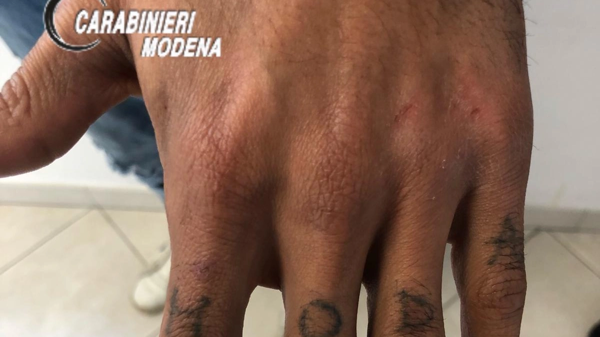 I segni dei denti sulla mano tatuata