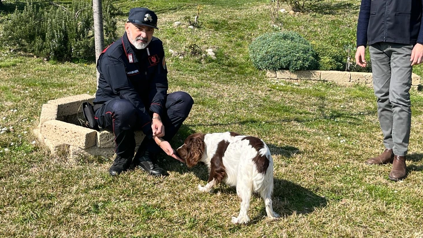 Il cane Giada, salvato dai carabinieri forestali, ha trovato casa