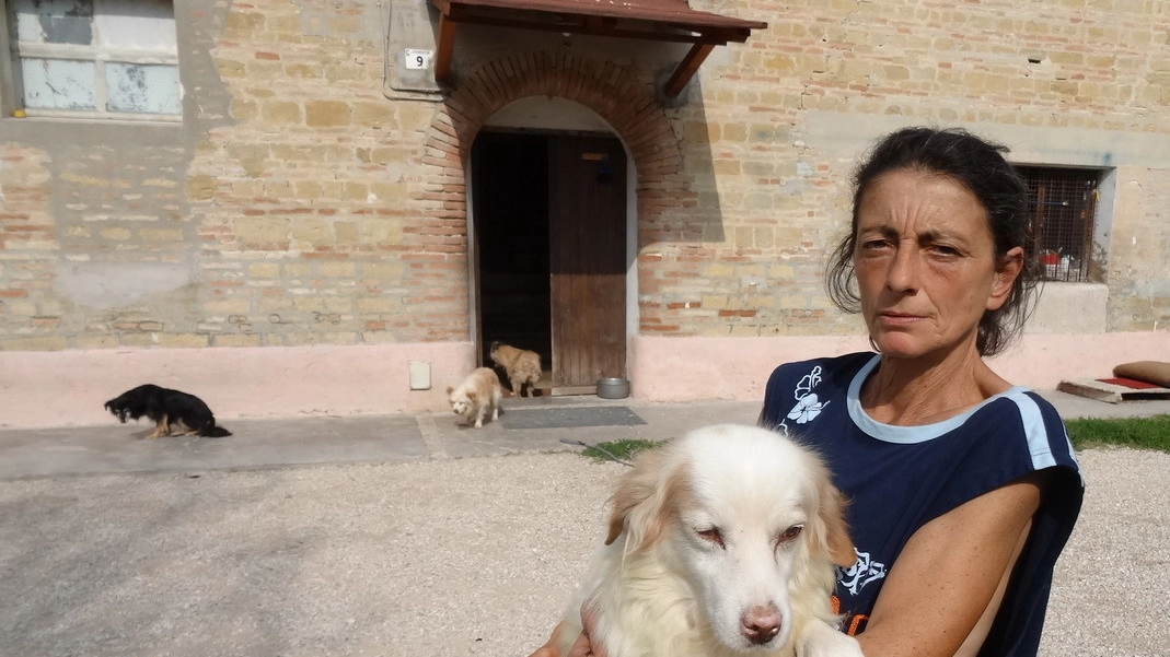 Caterina Storaci con Lallo, cane  di otto anni recuperato e curato