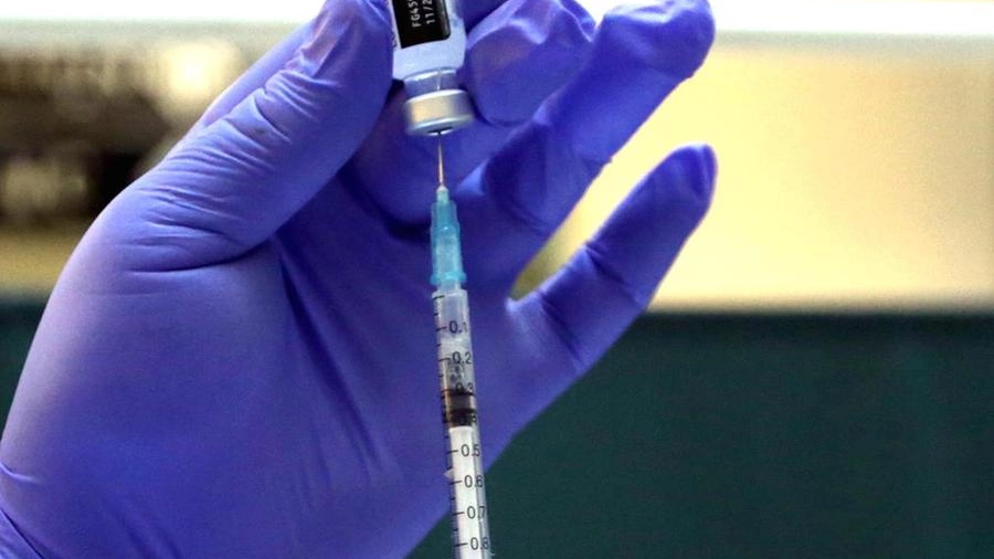 Vaccino anti Covid (Ansa)