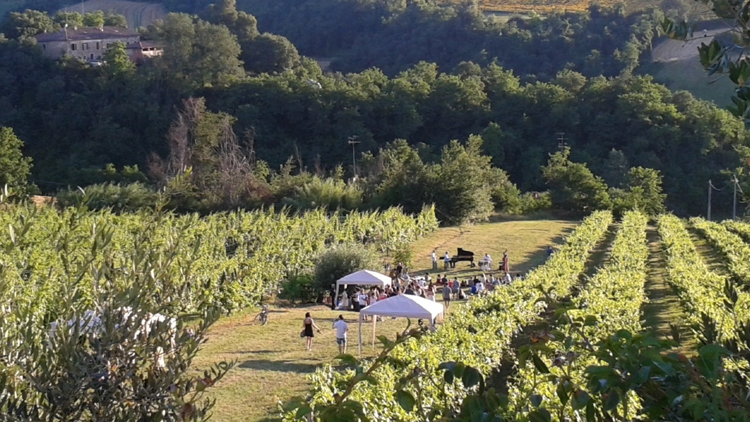 Il pic nic in vigna 