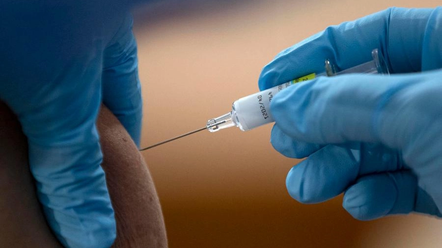 Vaccino antinfluenzale: quando si parte nelle regioni (Ansa)