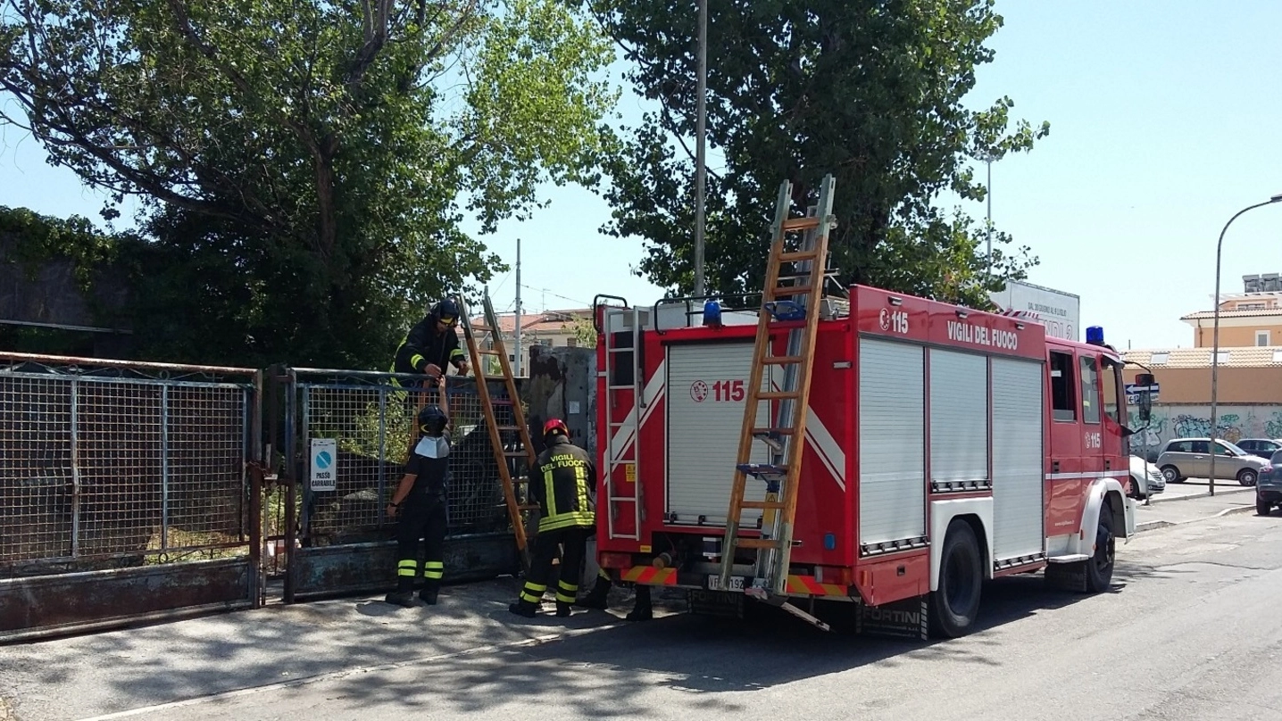 Vigili del fuoco al lavoro dopo il crollo a San Benedetto del Tronto in via Calatafimi