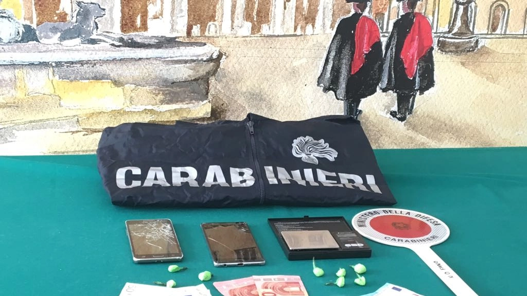 Il denaro e la droga sequestrati dai carabinieri