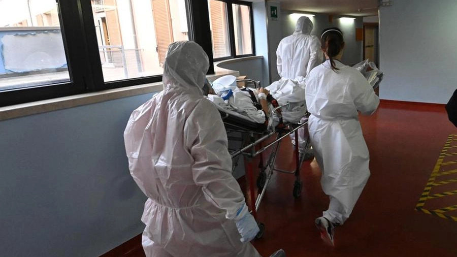 Bologna, focolaio Covid all'ospedale Sant'Orsola (FotoSchicchi d'archivio)