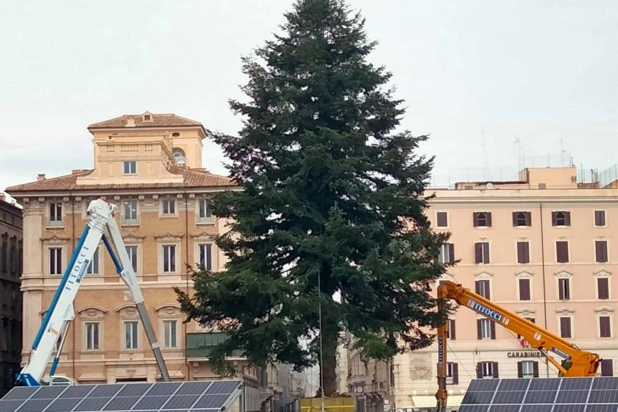 L'Abetone di piazza Venezia circondato dai pannelli solari