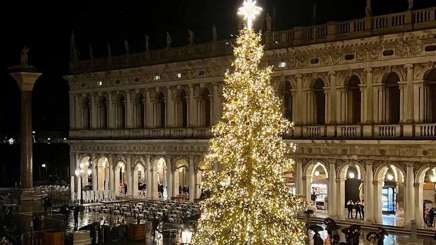 Natale a Venezia, l'accensione dell'albero in piazzetta San Marco