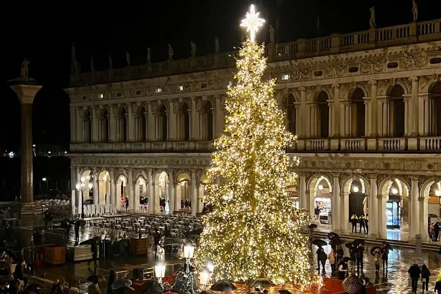 Acceso l'albero di Natale a Venezia