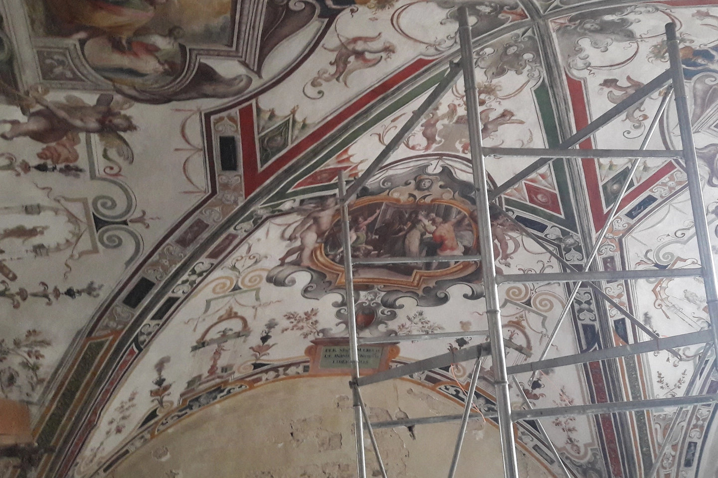 Le decorazioni nella volta di santa Croce a Urbino
