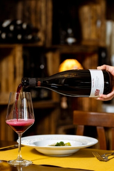 Un Lambrusco Grasparossa di Castelvetro è tra i migliori vini d’Italia