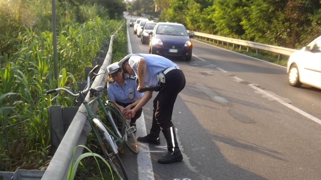 Ciclista travolto e ucciso da un'auto al Ponte della Bastia (foto Scardovi)