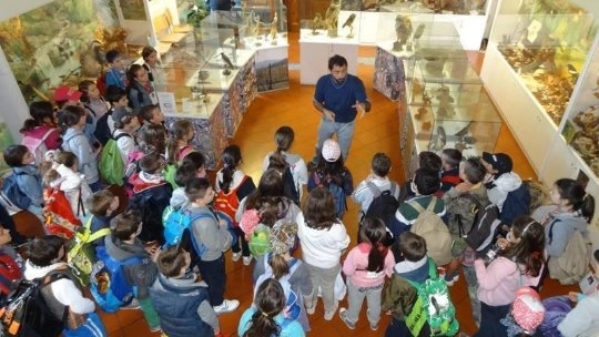 Una visita didattica al Museo di Scienze Naturali organizzata dalla associazione  Via Terrea