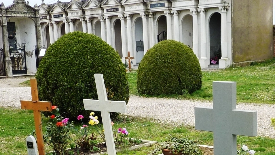 Faenza, il coniglio fotografato dal parroco al cimitero