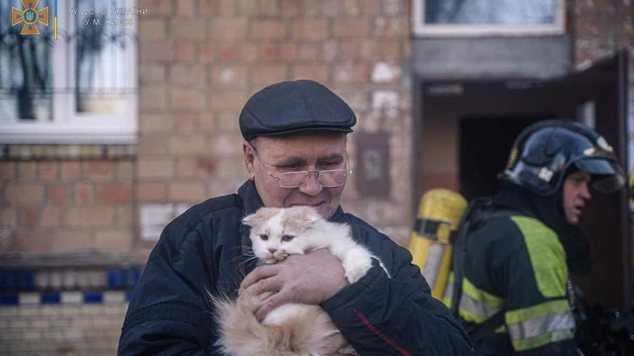 Un anziano di Kiev si stringe al suo gatto