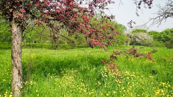 Bologna, tante gite fuori porta alla scoperta della natura in primavera