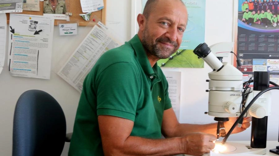 L’entomologo Claudio Venturelli, specialista di zanzare