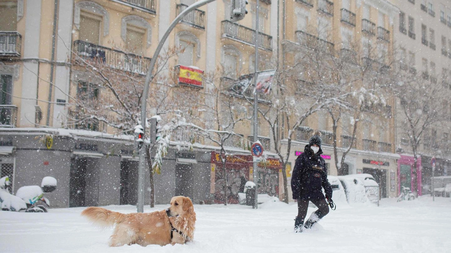 Madrid è paralizzata dalla neve (Ansa)