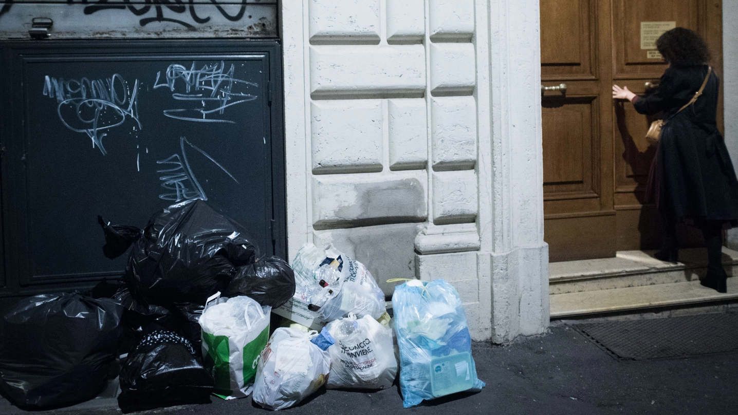 Rifiuti Bologna, sacchi della spazzatura in strada (FotoSchicchi)