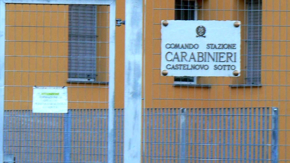Sono intervenuti i carabinieri di Castelnovo Sotto