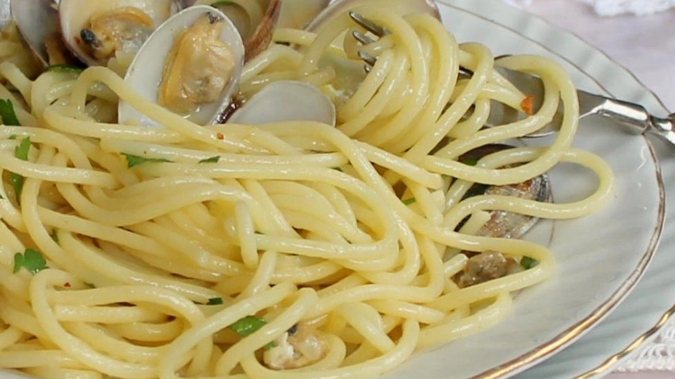 Un generico piatto di pasta (foto repertorio)