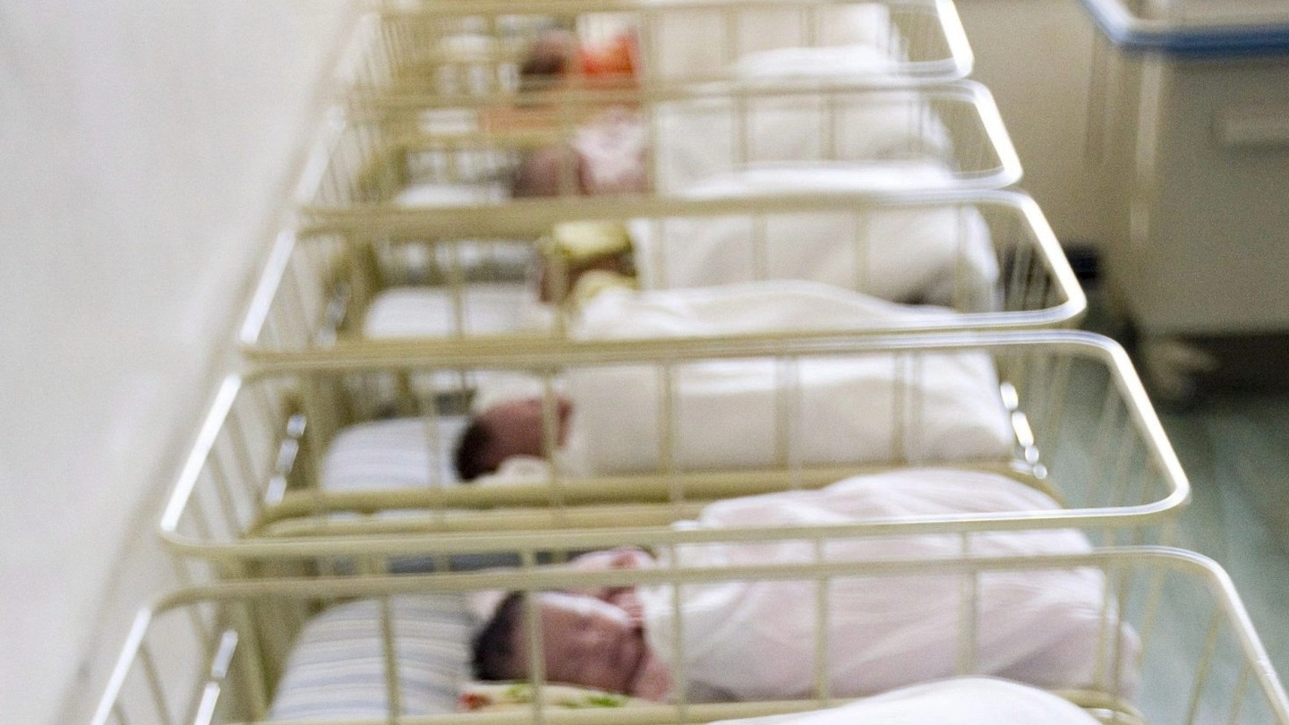 Neonati in ospedale (Ansa)