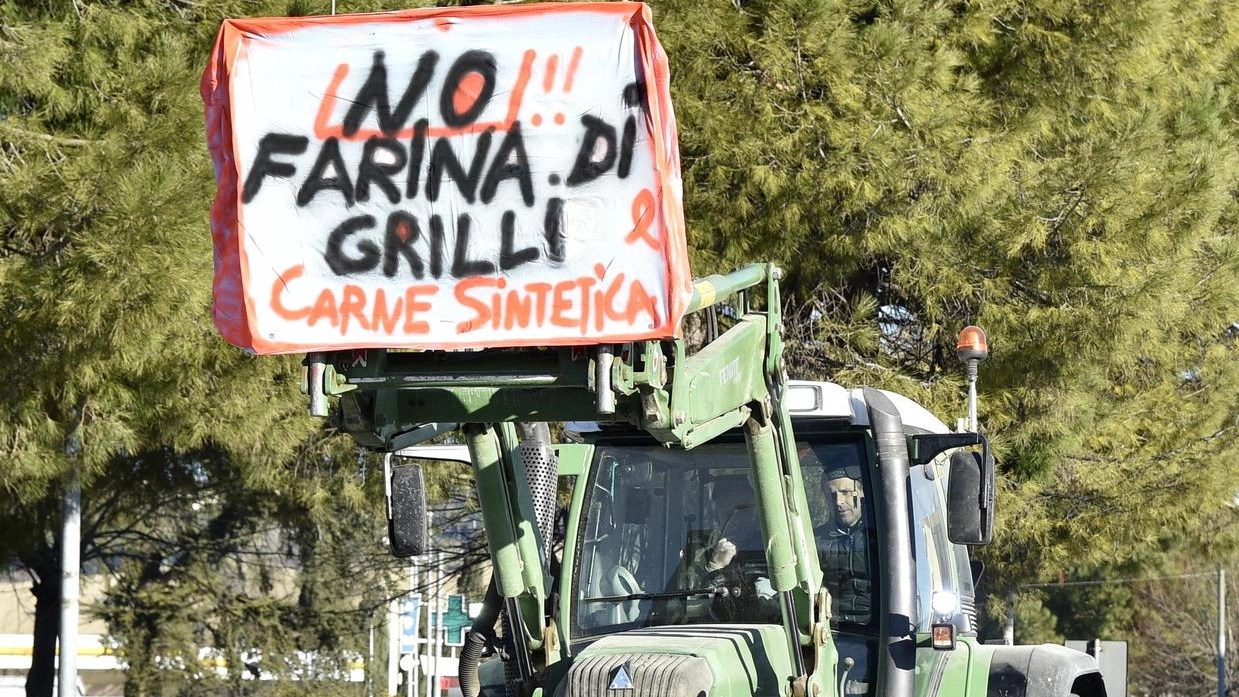 I trattori sfilano per le vie di Piediripa: "No a carne sintetica e farina di grilli"