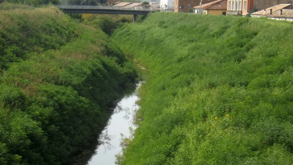 Alfonsine, il fiume Senio (Foto Scardovi)