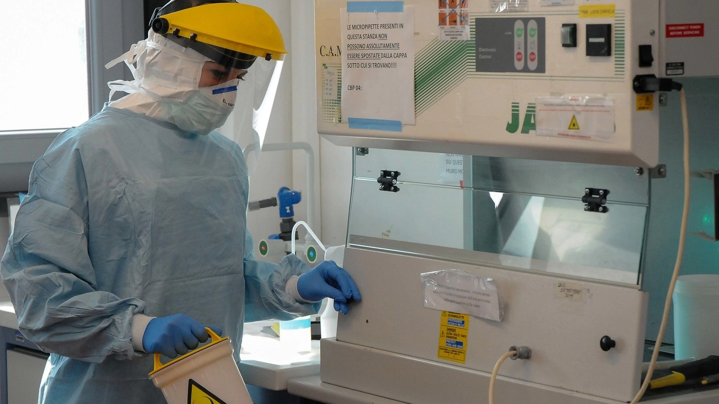 Un laboratorio in cui vengono effettuate le analisi dei test per il Coronavirus
