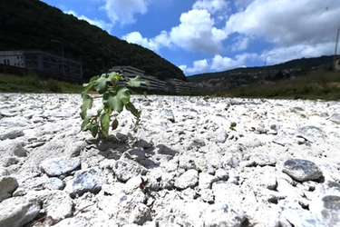 Siccità in Italia, 35 dighe mai completate: ambientalisti, burocrazia e sprechi